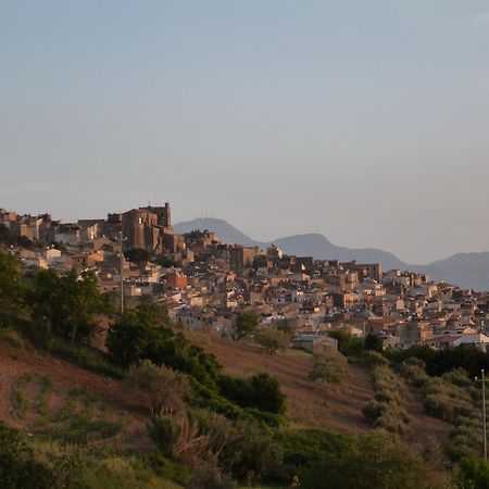 Villa Della Mimosa Alia Екстериор снимка