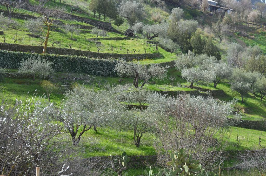 Villa Della Mimosa Alia Екстериор снимка