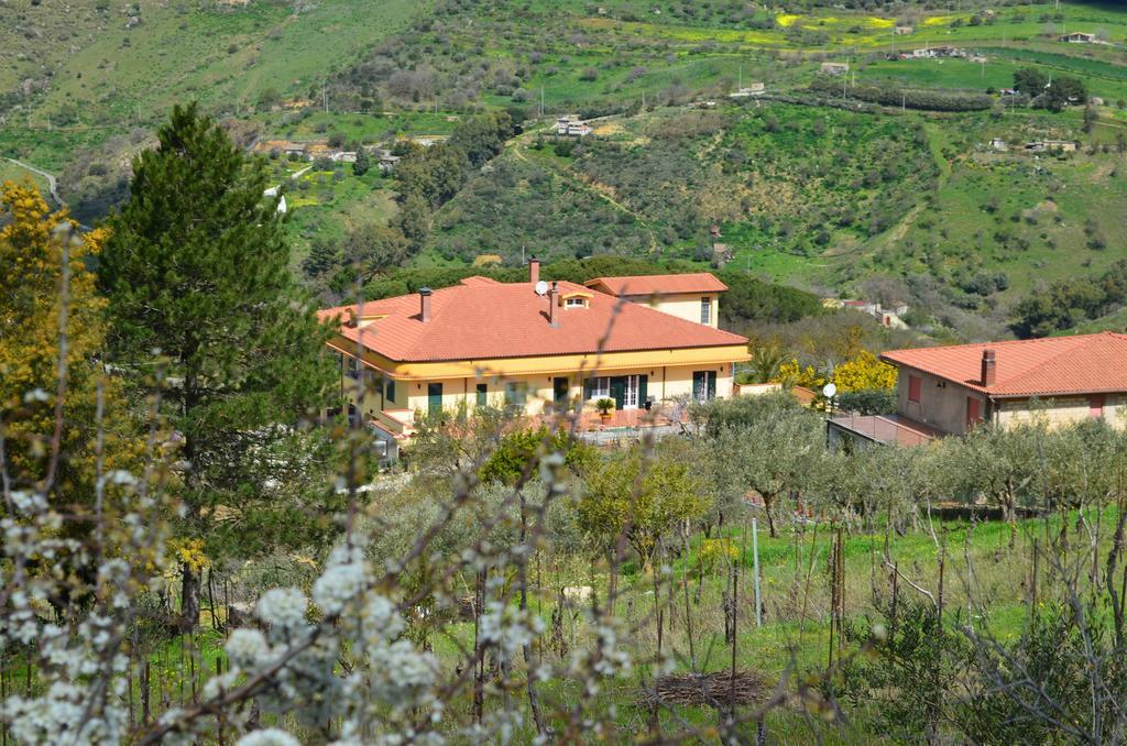 Villa Della Mimosa Alia Екстериор снимка