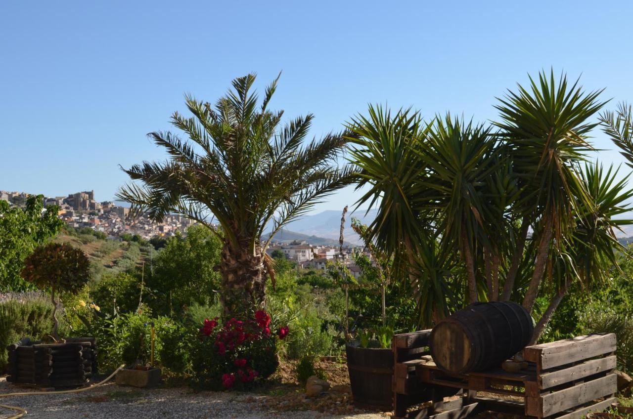 Villa Della Mimosa Alia Екстериор снимка